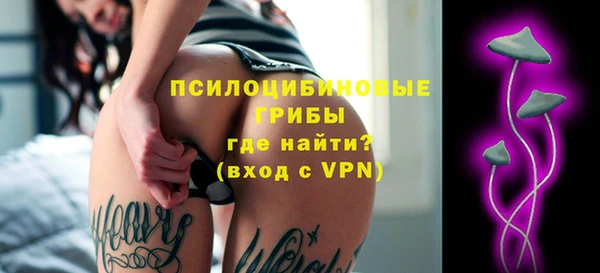 прущие грибы Арсеньев