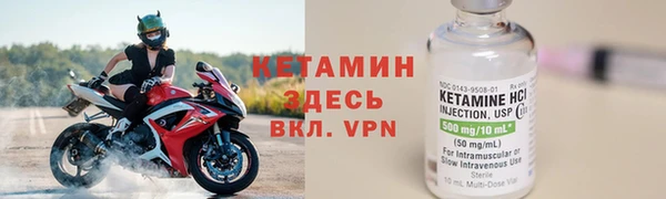 прущие грибы Белокуриха