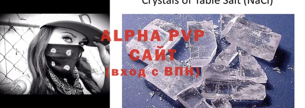ПСИЛОЦИБИНОВЫЕ ГРИБЫ Осинники