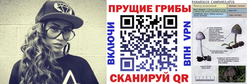 цена   Макаров  omg ссылки  Псилоцибиновые грибы ЛСД 